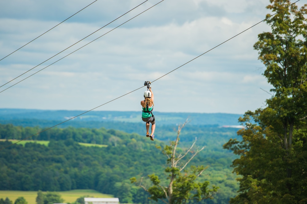 Ropes Course (Team Building)