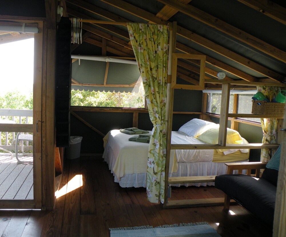 Deluxe Room w 1 Queen Bed & double futon - Living Area