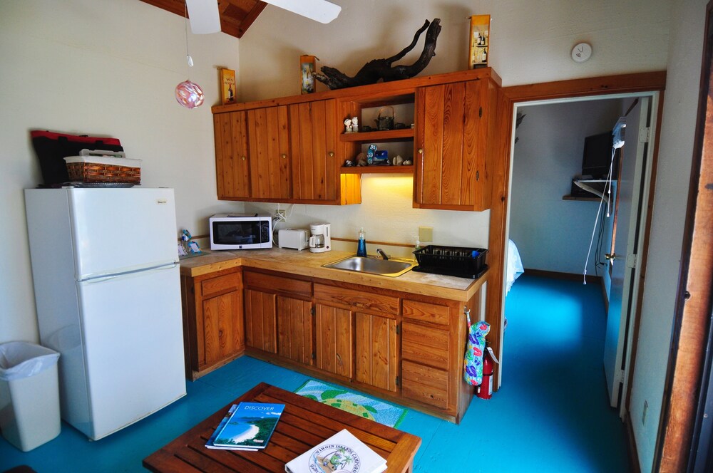 Panoramic Suite, 1 Bedroom, Ocean View, Oceanfront - Guestroom