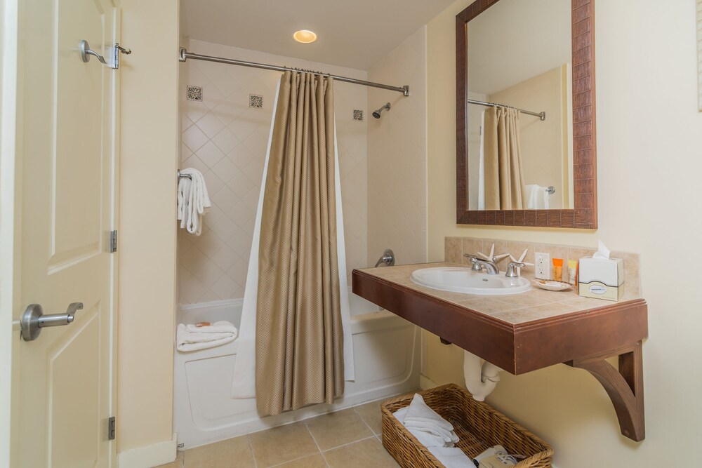 Condo, 1 Bedroom, Kitchen - Bathroom