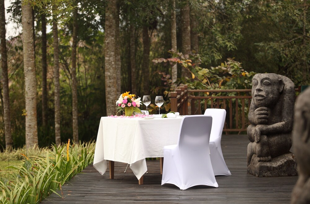 Couples Dining