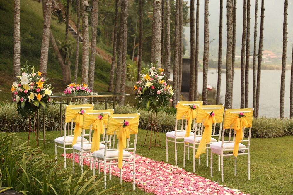 Outdoor Wedding Area