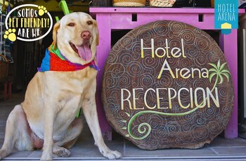 Pet-Friendly
