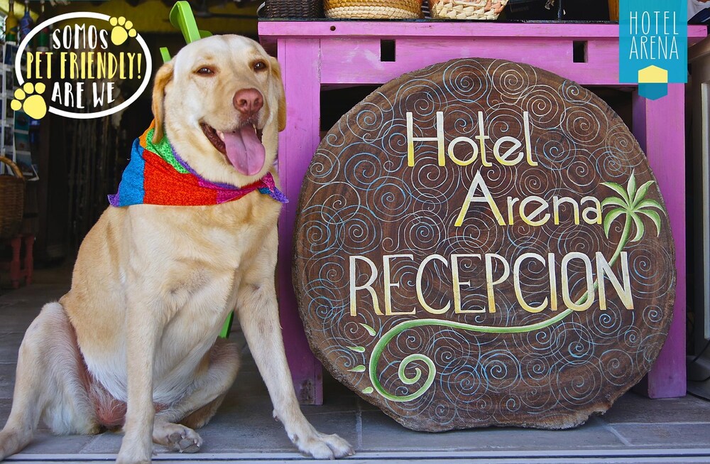 Pet-Friendly
