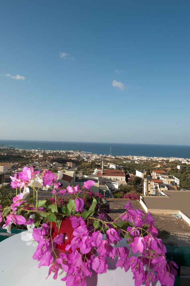 Guestroom View