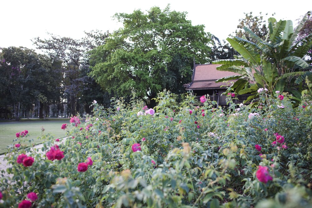 วิวสวน