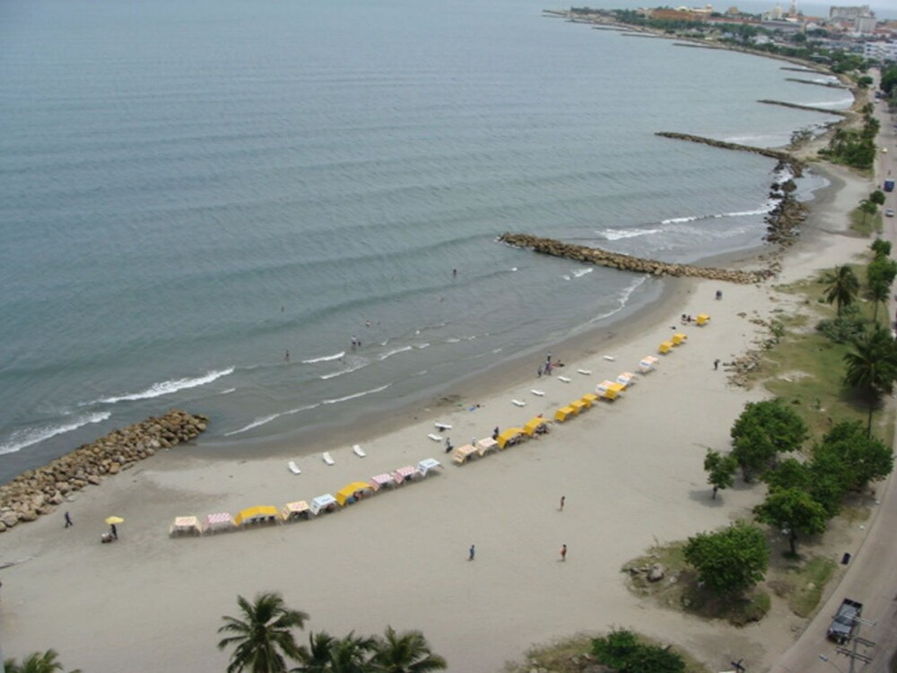 Beach/Ocean View