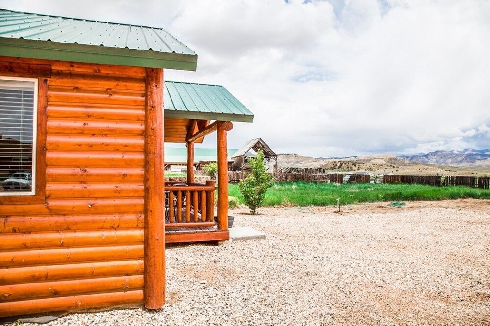 Premier Cabin, 1 Queen Bed - Terrace/Patio