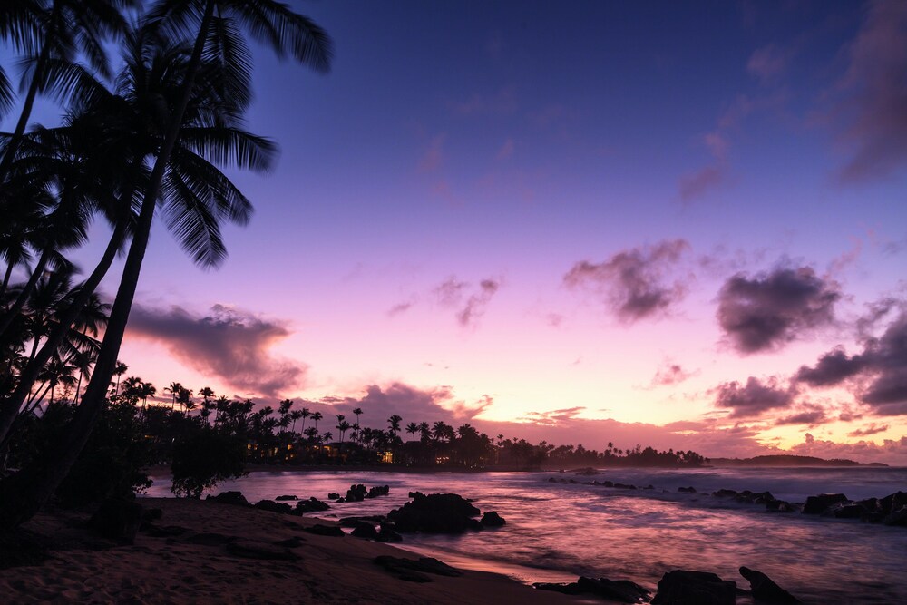 Beach/Ocean View