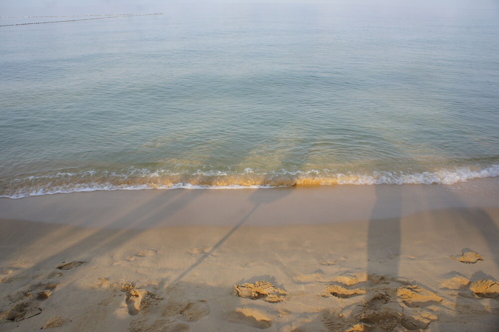 해변
