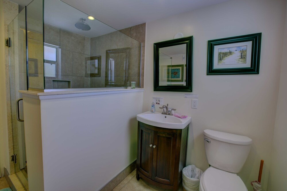 Premium One Bedroom, One King Bed - Guestroom