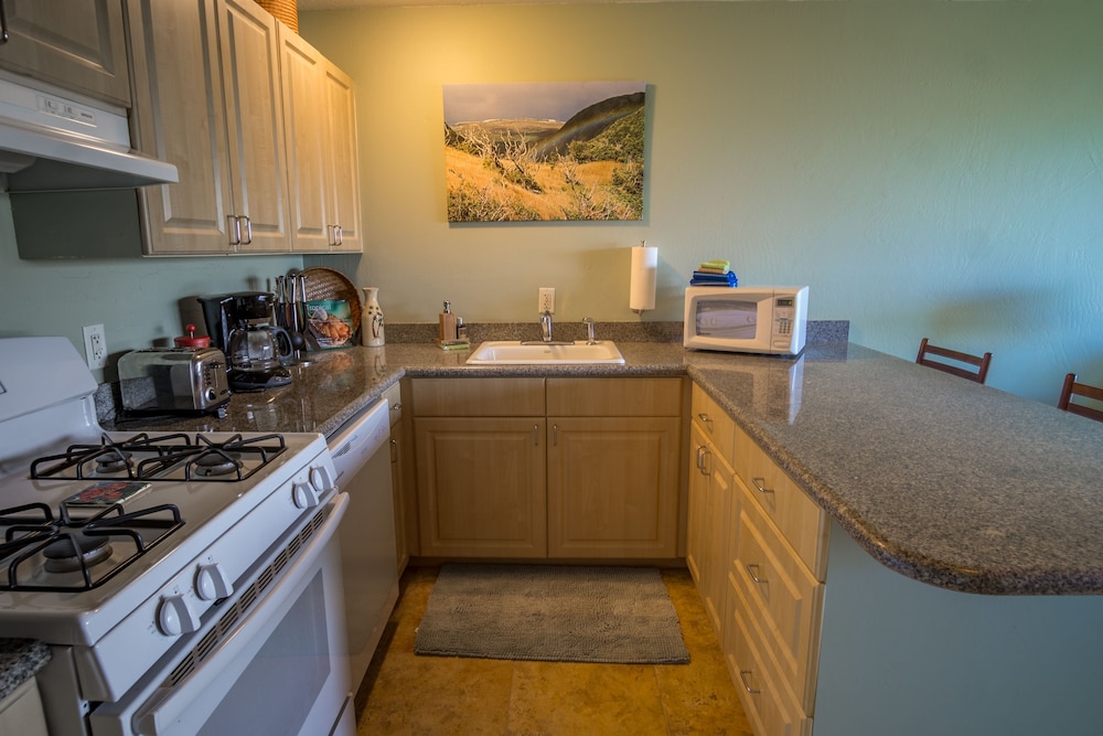 Condo, 1 Bedroom, Oceanfront - In-Room Kitchen