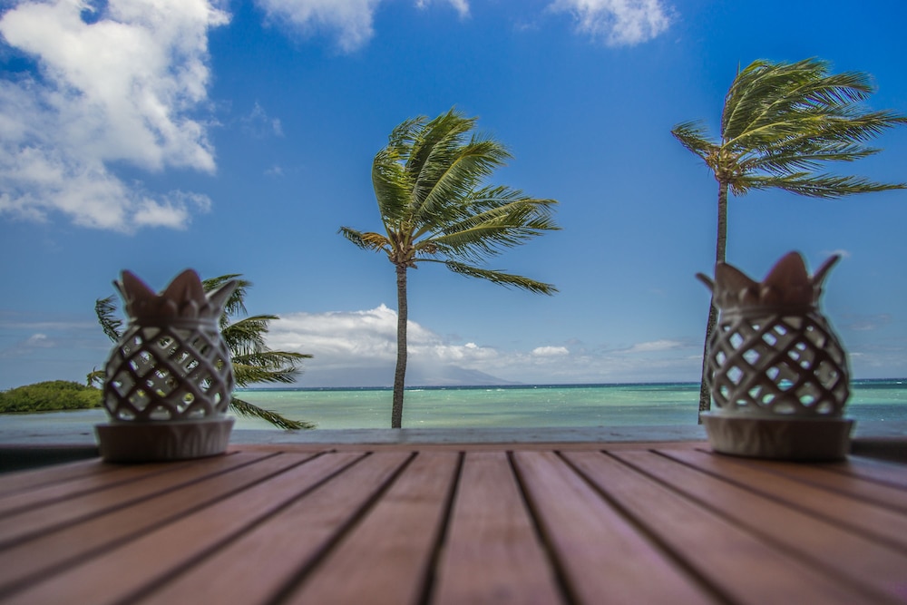 Condo, 1 Bedroom, Oceanfront - Guestroom View