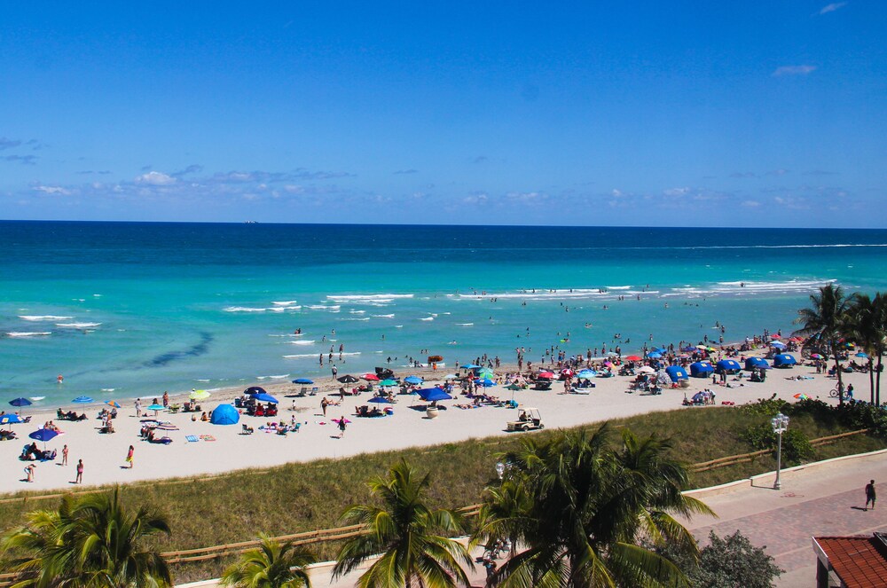 XXX Suite 1 Bedroom Ocean View - Beach/Ocean View