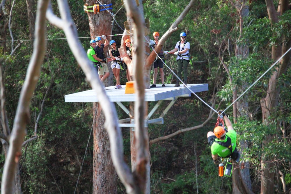 Ropes Course (Team Building)