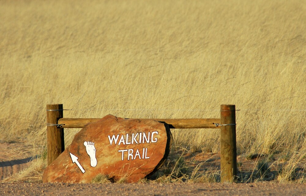 Hiking