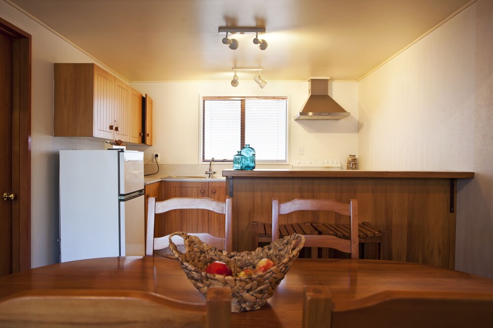 Three Bedroom Apartment - Guestroom