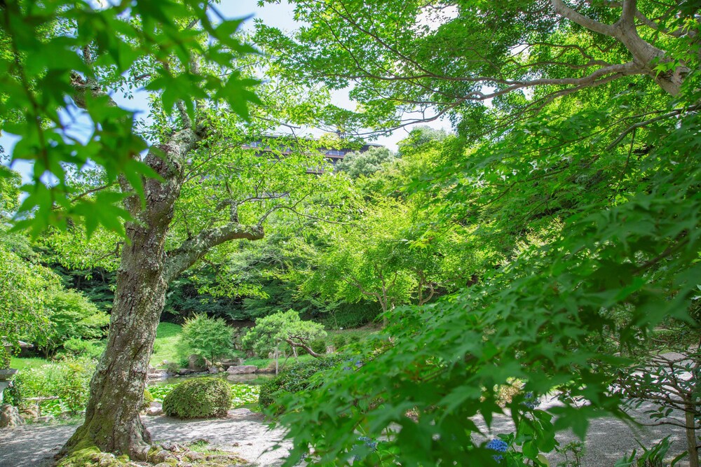 庭園