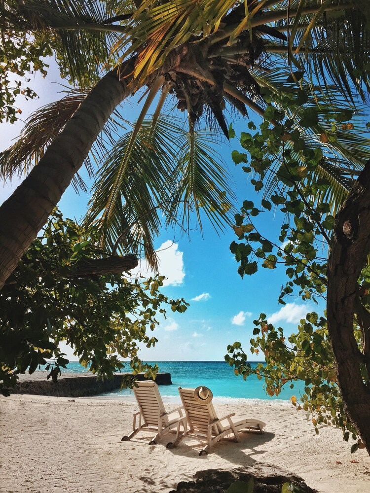 Beach/Ocean View