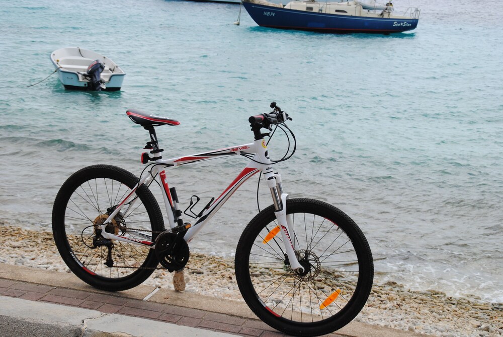 Bicycling
