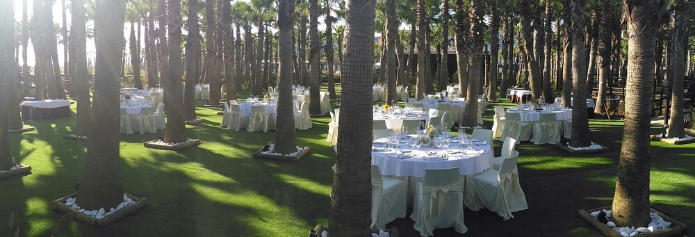 Outdoor Wedding Area