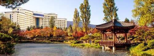 소노벨 경주(구 대명리조트 경주)