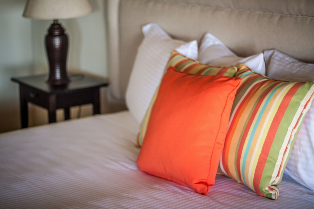 Studio - Guestroom