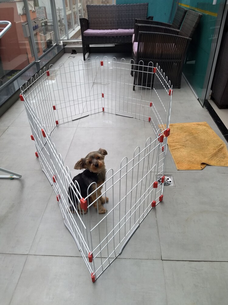 Pet-Friendly