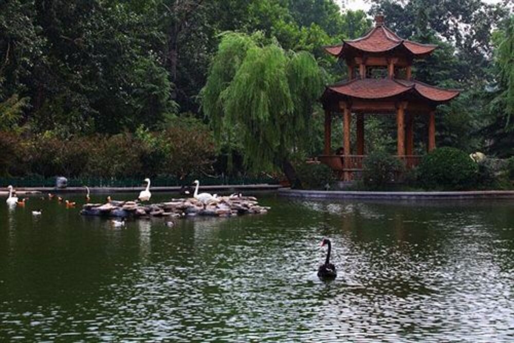 Lake