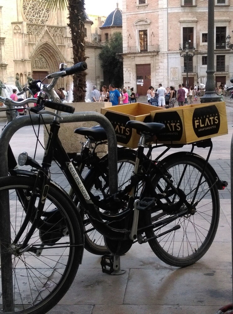 Bicicletas