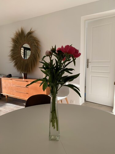 Merveilleux Mazet totalement rénové de 3 chambres dans un domaine privé