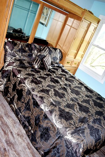 Stunning, Clean, & Cozy 1 Bedroom Apt close to downtown!