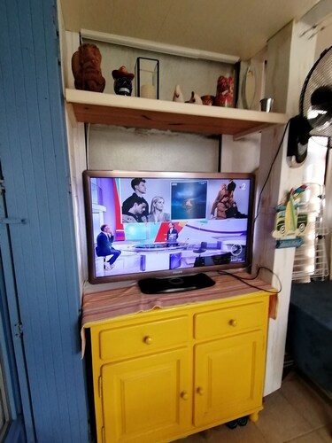 maisonnette frond de mer