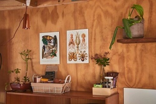The Bower- Cosy coastal cabin