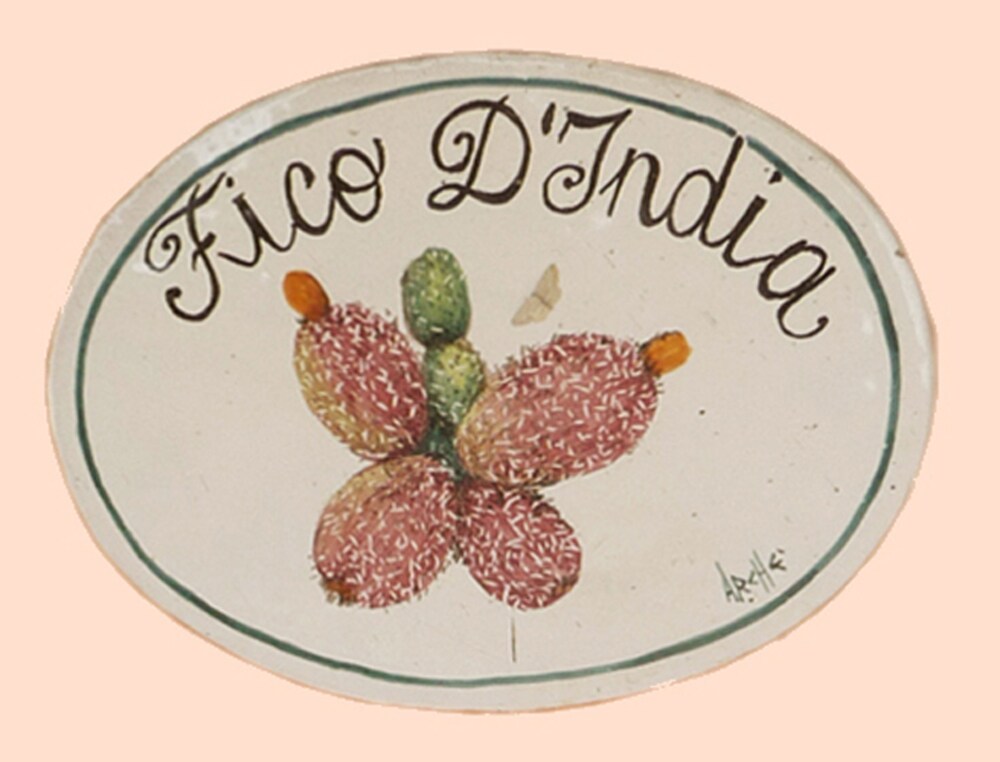 Dettaglio interni (Suite (Ficodindia))