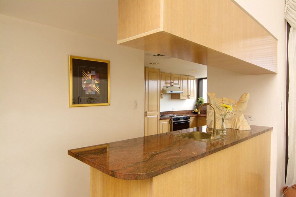 Executive Penthouse, 3 Bedrooms, Kitchen, Ocean View - In-Room Kitchen
