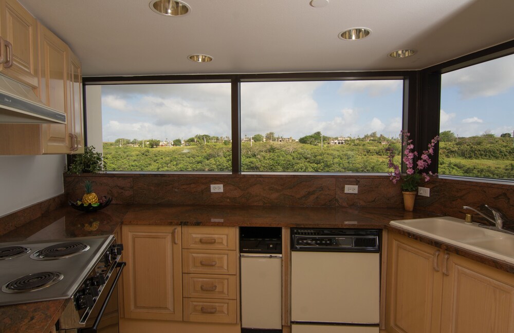 Executive Penthouse, 3 Bedrooms, Kitchen, Ocean View - In-Room Kitchen