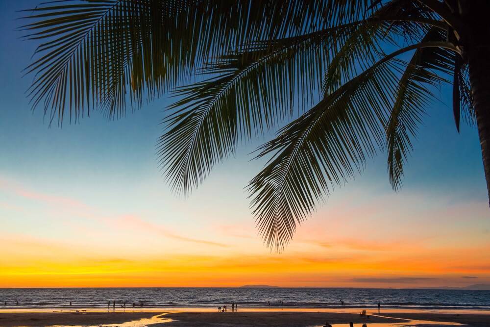 Beach/Ocean View