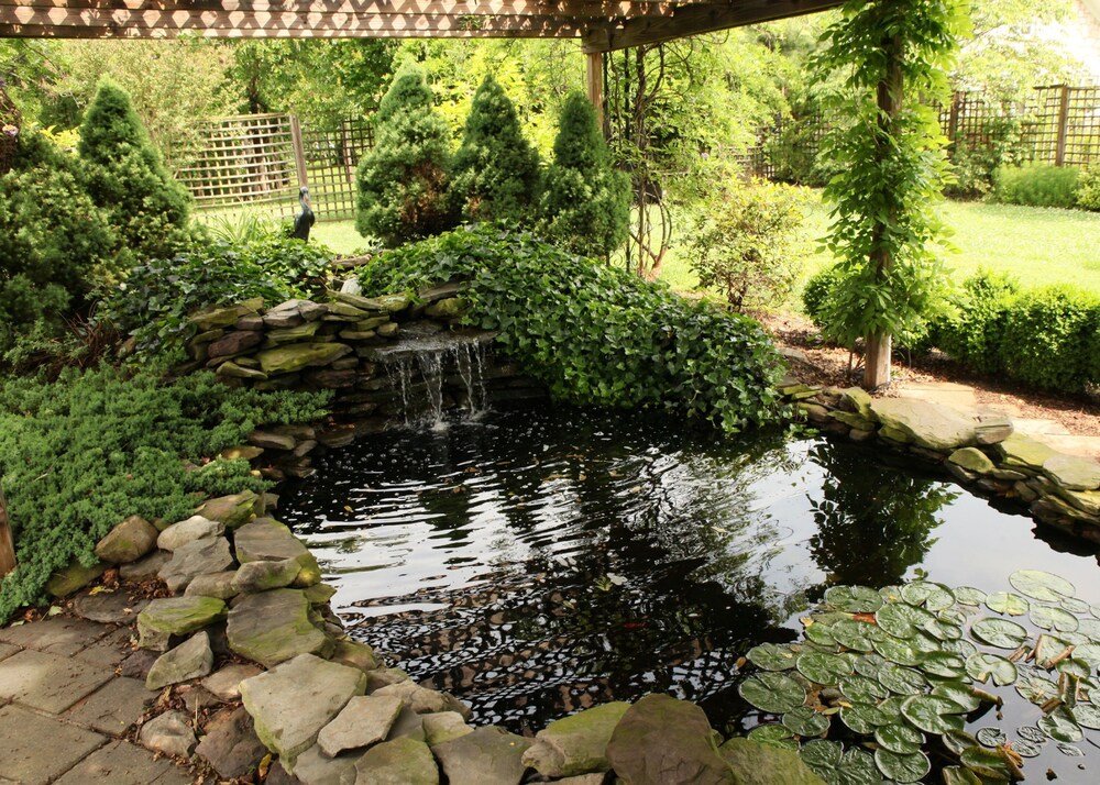 Jardin