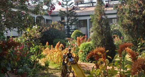 Childrens Play Area - Outdoor