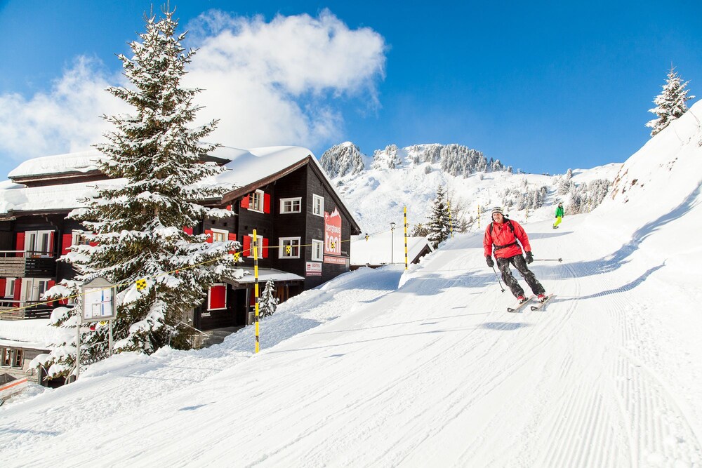 Sports d'hiver