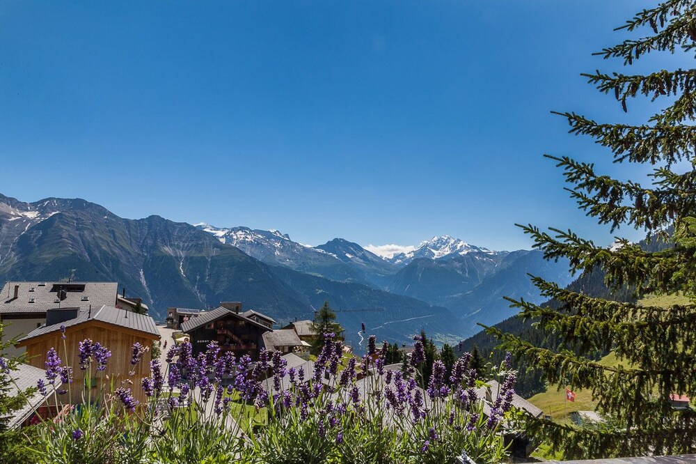 Vue sur les montagnes