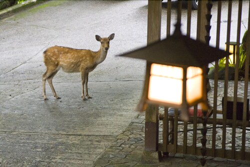 外観の詳細
