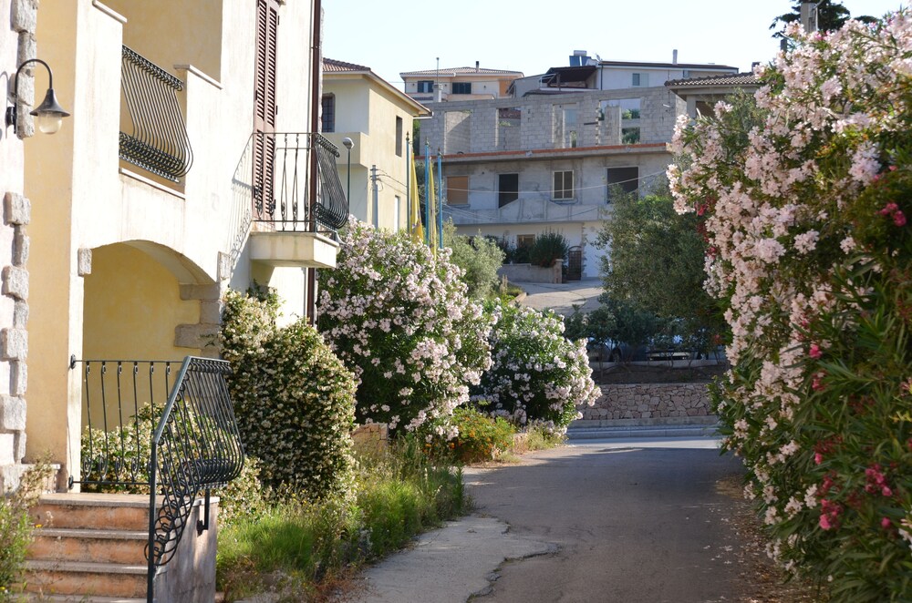 Parco della struttura