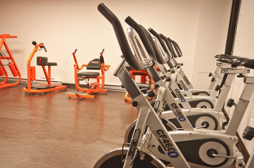 Palestra
