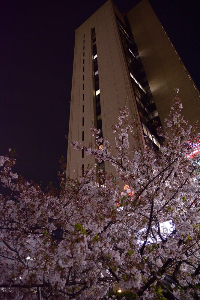 Hotel Front - Evening/Night