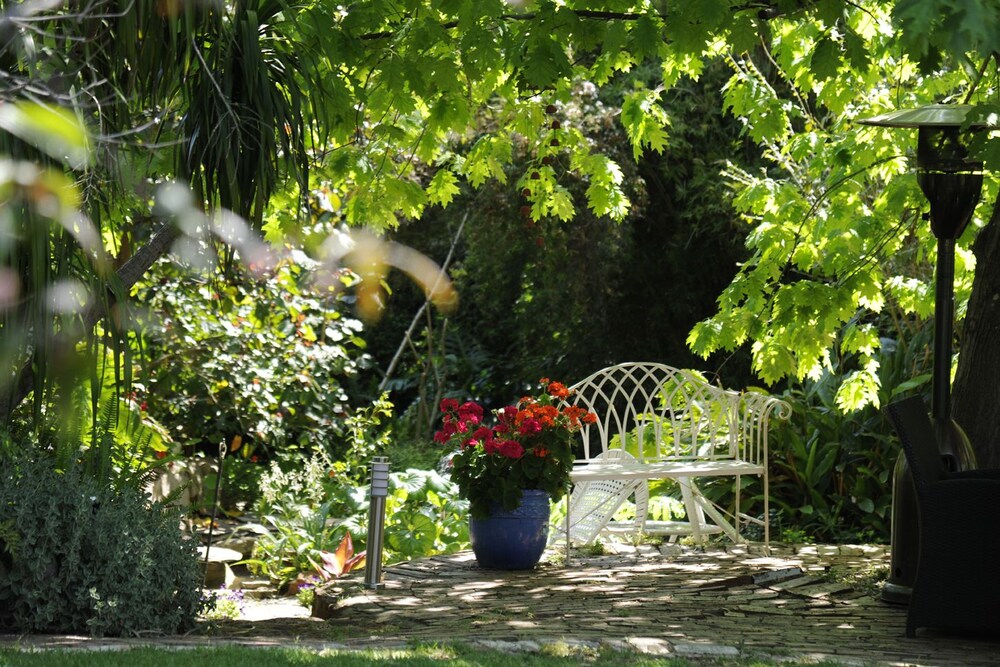 Outdoor Wedding Area