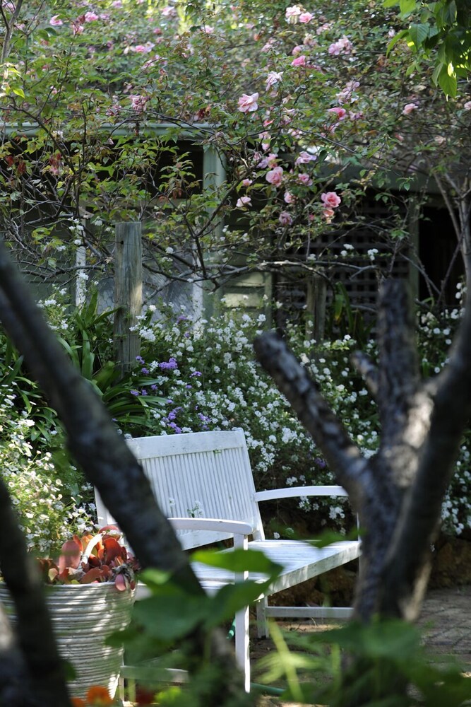 Outdoor Wedding Area