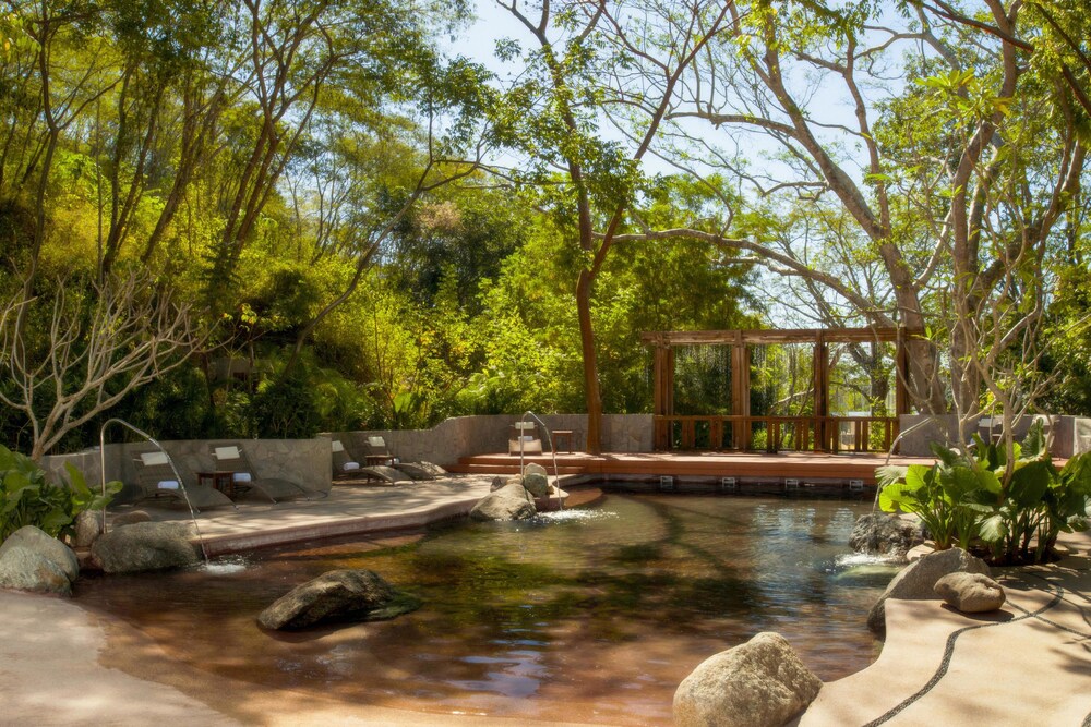 Natural Pool