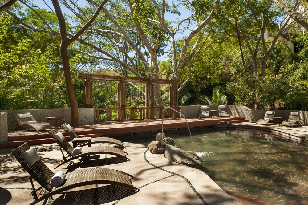 Natural Pool